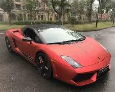 猫咪眼中主,人的地位是,怎样的,开云体育,开云体育官网,开云体育app,开云体育平台,KAIYUN,SPORTS,kaiyun登录入口