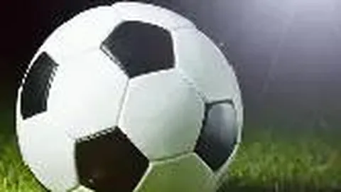 “举办国际足球学院成立及发展规划研讨会议”