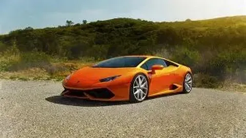 开云体育入口 资讯 095217 mlx