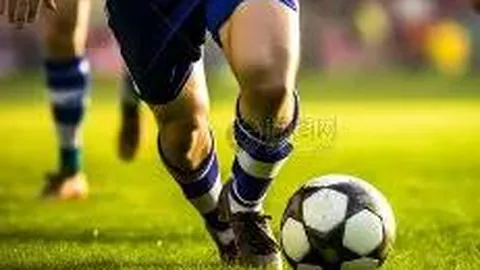 开云体育入口 资讯 095318 pm5