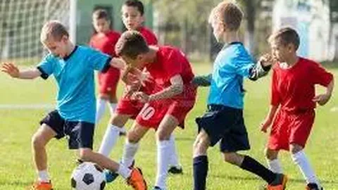 开云体育入口 资讯 095322 7ah