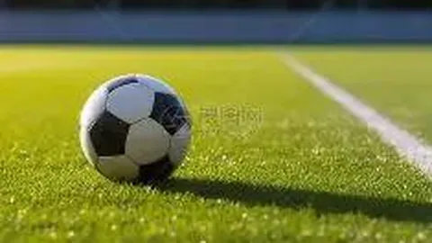 开云体育入口 产品 095333 nxj