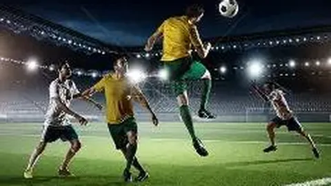 “商业汇票承兑环节有哪些内容？”