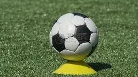 开云体育入口 资讯 085201 6no