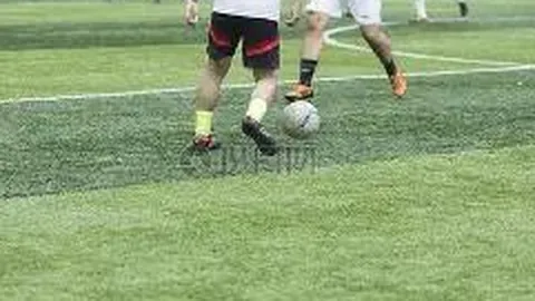 开云体育入口 资讯 091748 8mz