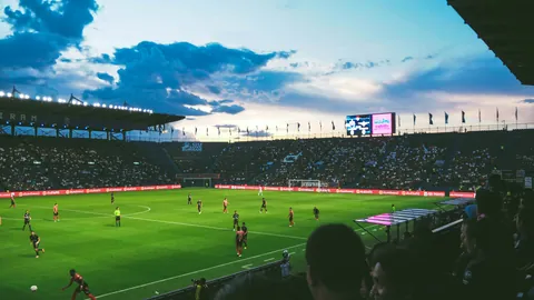 开云体育入口 产品 085708 bv6