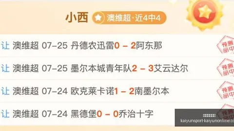 开云体育入口 151732 054